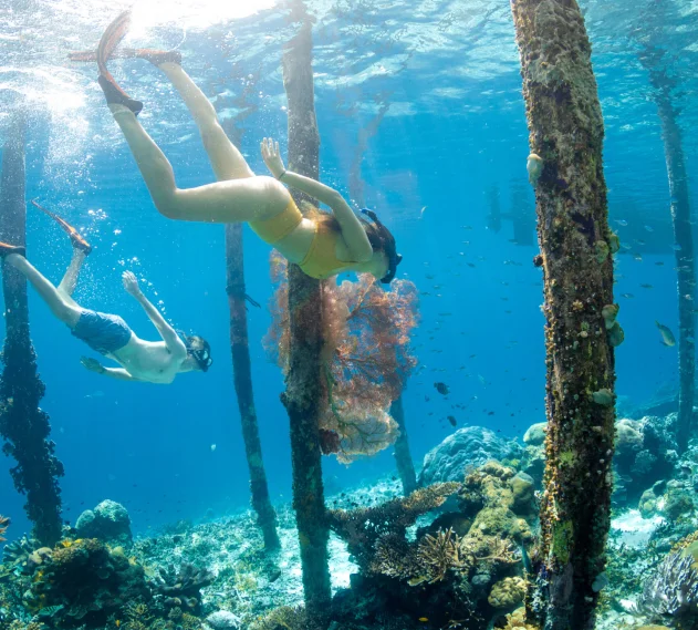 Exploring Indonesia Beyond Liveaboard Diving